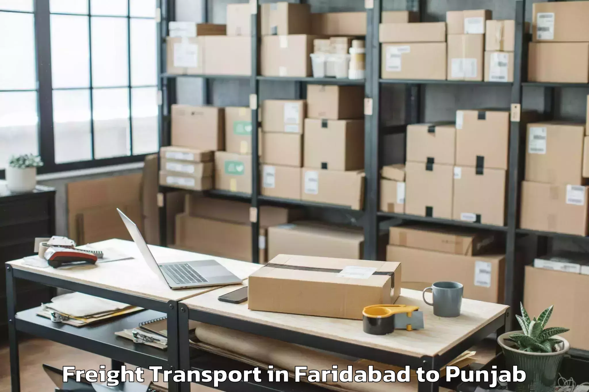 Comprehensive Faridabad to Dasua Freight Transport